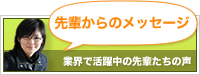 先輩からのメッセージ 業界で活躍中の先輩たちの声