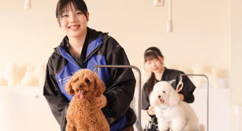 ペット大学科